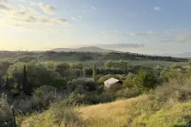 იყიდება მიწის ნაკვეთი, ბროწეულა