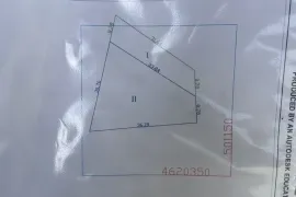 იყიდება მიწის ნაკვეთი, ბროწეულა