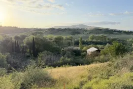 იყიდება მიწის ნაკვეთი, ბროწეულა