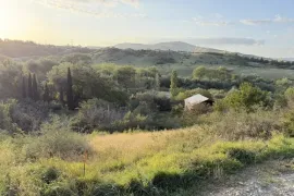 იყიდება მიწის ნაკვეთი, ბროწეულა