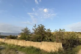 იყიდება მიწის ნაკვეთი, ბროწეულა