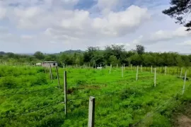 იყიდება მიწის ნაკვეთი, სასოფლო - სამეურნეო, დიდი ხორში