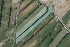 Land For Sale, Agricultural, Vaziani 