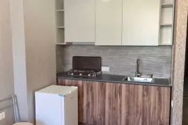 ქირავდება ბინა, 1 ოთახიანი, ახალი აშენებული, თბილისი, სანზონა