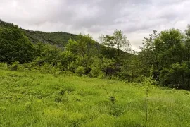 იყიდება მიწის ნაკვეთი, არა სასოფლო - სამეურნეო, კორტანეთი