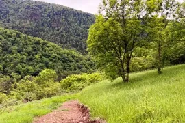 იყიდება მიწის ნაკვეთი, არა სასოფლო - სამეურნეო, კორტანეთი