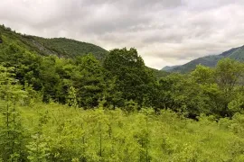 იყიდება მიწის ნაკვეთი, არა სასოფლო - სამეურნეო, კორტანეთი