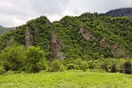 იყიდება მიწის ნაკვეთი, არა სასოფლო - სამეურნეო, კორტანეთი