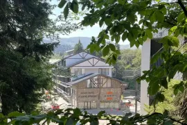 იყიდება, სასტუმრო, ბაკურიანი