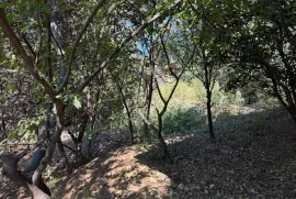 Lease House, 2 Room, Tbilisi, Mukhiani