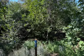 Lease House, 2 Room, Tbilisi, Mukhiani