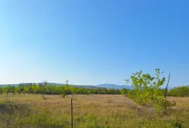 იყიდება მიწის ნაკვეთი, სასოფლო - სამეურნეო, ქსოვრისი