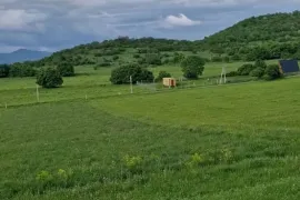 იყიდება მიწის ნაკვეთი, არა სასოფლო - სამეურნეო, მაწევანი