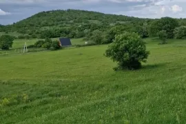 იყიდება მიწის ნაკვეთი, არა სასოფლო - სამეურნეო, მაწევანი