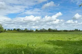 Lease Land 