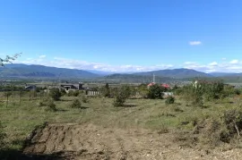 Land For Sale, Non Agricultural, Arashenda