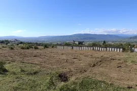 Land For Sale, Non Agricultural, Arashenda