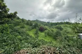 იყიდება მიწის ნაკვეთი, სასოფლო - სამეურნეო, ზედა აჭყვა