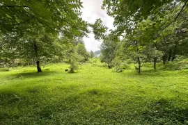 იყიდება მიწის ნაკვეთი, სასოფლო - სამეურნეო, ზედა აჭყვა