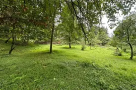 იყიდება მიწის ნაკვეთი, სასოფლო - სამეურნეო, ზედა აჭყვა