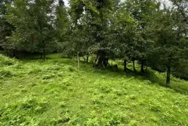 იყიდება მიწის ნაკვეთი, სასოფლო - სამეურნეო, ზედა აჭყვა