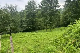 იყიდება მიწის ნაკვეთი, სასოფლო - სამეურნეო, ზედა აჭყვა
