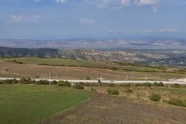 იყიდება მიწის ნაკვეთი, სასოფლო - სამეურნეო, ერთაწმინდა 