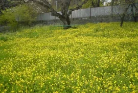 House For Sale, 6 Room, Suburbs of Tbilisi, Kojori