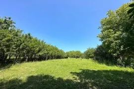 იყიდება მიწის ნაკვეთი, სასოფლო - სამეურნეო, თოლენჯი