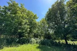 იყიდება მიწის ნაკვეთი, სასოფლო - სამეურნეო, თოლენჯი
