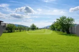 იყიდება მიწის ნაკვეთი, სასოფლო - სამეურნეო, ახალუბანი