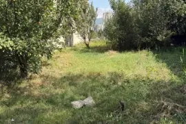 იყიდება მიწის ნაკვეთი, სასოფლო - სამეურნეო, მუხიანი
