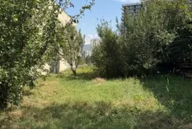 იყიდება მიწის ნაკვეთი, სასოფლო - სამეურნეო, მუხიანი