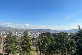 Аренда, 4 Kомнатная, Новостройка, Тбилиси, Озеро Лиси