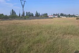 იყიდება მიწის ნაკვეთი, სასოფლო - სამეურნეო, ფონიჭალა