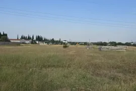 იყიდება მიწის ნაკვეთი, სასოფლო - სამეურნეო, ფონიჭალა