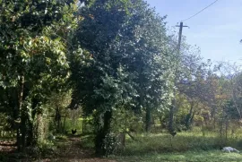 Land For Sale, Agricultural, Zeda Bakhvi