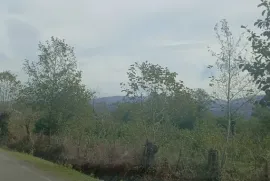 Land For Sale, Agricultural, Zeda Bakhvi