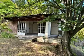 Land For Sale, Agricultural, Tskneti