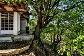 Land For Sale, Agricultural, Tskneti