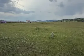Продается Земля, Сельскохозяйственные, Martkopi