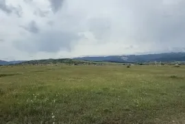 Продается Земля, Сельскохозяйственные, Martkopi