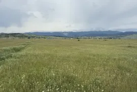 Продается Земля, Сельскохозяйственные, Martkopi