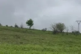 იყიდება მიწის ნაკვეთი, სასოფლო - სამეურნეო, დავათი