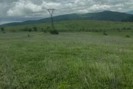 იყიდება მიწის ნაკვეთი, სასოფლო - სამეურნეო, დავათი