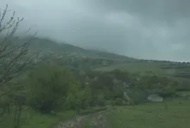 იყიდება მიწის ნაკვეთი, სასოფლო - სამეურნეო, დავათი