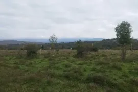 Продается Земля, Сельскохозяйственные, Норио 