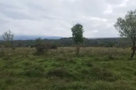 Продается Земля, Сельскохозяйственные, Норио 