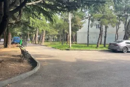 Apartment for sale, 3 Room, Old building, Suburbs of Tbilisi, Okrokana