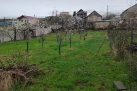 იყიდება მიწის ნაკვეთი, სასოფლო - სამეურნეო, მუხიანი